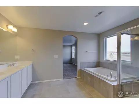 2160 Longfin Dr, Windsor, CO 80550 photo 22