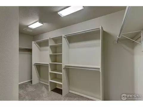 2160 Longfin Dr, Windsor, CO 80550 photo 24