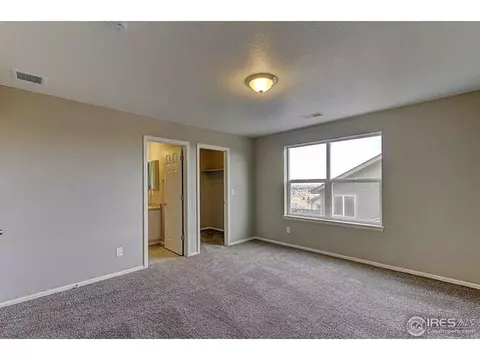 2160 Longfin Dr, Windsor, CO 80550 photo 25