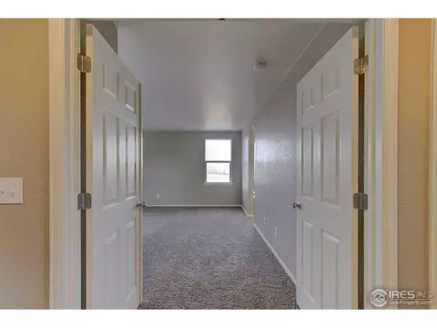 2160 Longfin Dr, Windsor, CO 80550 photo 19