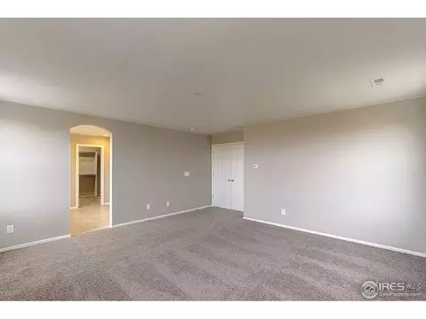 2160 Longfin Dr, Windsor, CO 80550 photo 21
