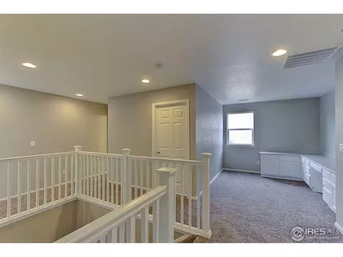 2160 Longfin Dr, Windsor, CO 80550 photo 16
