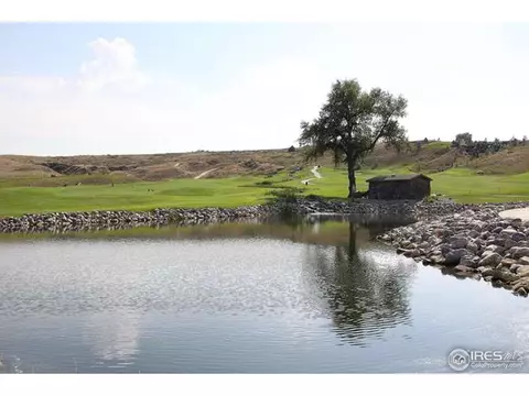 2160 Longfin Dr, Windsor, CO 80550 photo 36