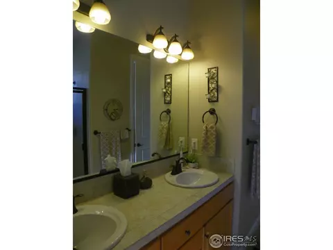 2097 Vineyard Dr, Windsor, CO 80550 photo 25