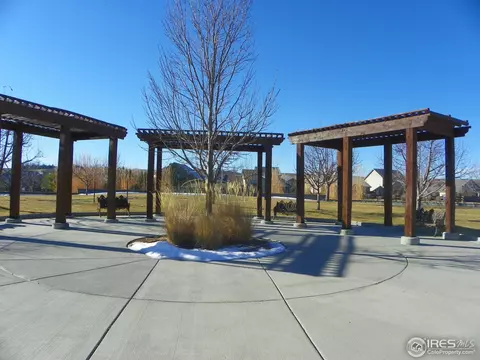 2097 Vineyard Dr, Windsor, CO 80550 photo 4