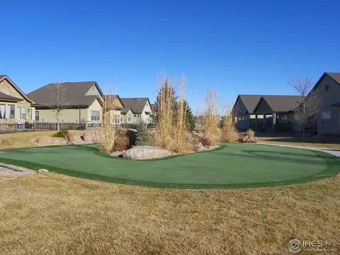 2097 Vineyard Dr, Windsor, CO 80550 photo 3