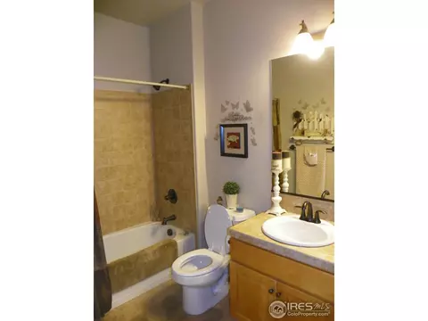 2097 Vineyard Dr, Windsor, CO 80550 photo 30