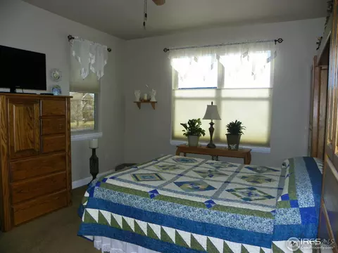 2097 Vineyard Dr, Windsor, CO 80550 photo 23
