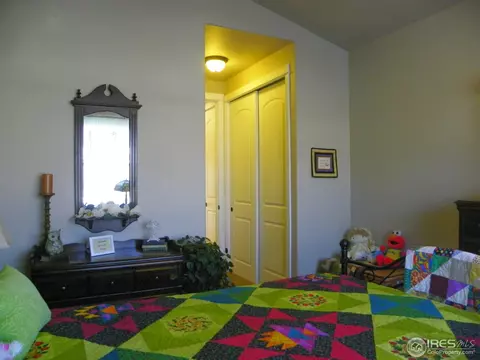 2097 Vineyard Dr, Windsor, CO 80550 photo 29