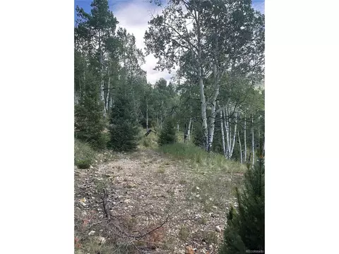 Calkins, Jasper, CO 81132 photo 5