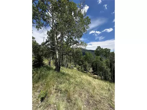 Calkins, Jasper, CO 81132 photo 8