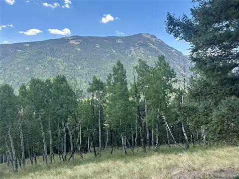 Calkins, Jasper, CO 81132