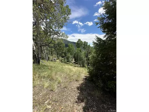 Calkins, Jasper, CO 81132 photo 7