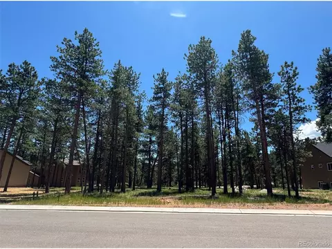 1287 Firestone Dr, Woodland Park, CO 80863