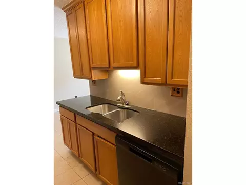 190 E Highline Cir #307, Centennial, CO 80122 photo 2