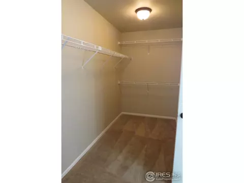 2173 Grain Bin Ct, Windsor, CO 80550 photo 19