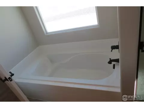 2173 Grain Bin Ct, Windsor, CO 80550 photo 16