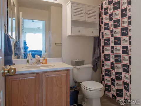 2230 E 126th Way, Thornton, CO 80241 photo 24
