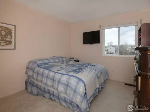 2230 E 126th Way, Thornton, CO 80241 photo 22