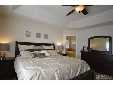 6771 Rainier Rd, Timnath, CO 80547 photo 13