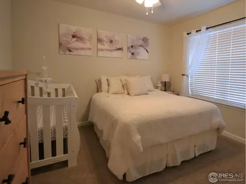 6771 Rainier Rd, Timnath, CO 80547 photo 23