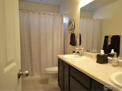 6771 Rainier Rd, Timnath, CO 80547 photo 22