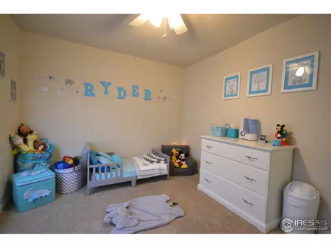6771 Rainier Rd, Timnath, CO 80547 photo 20