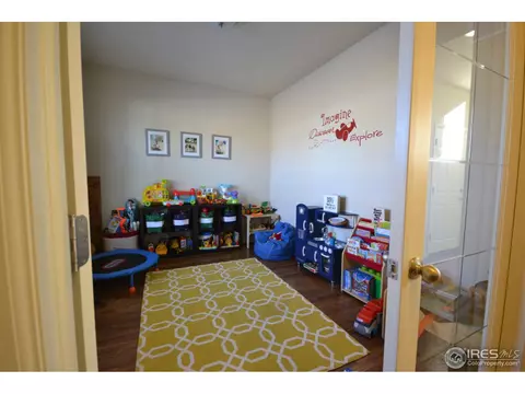 6771 Rainier Rd, Timnath, CO 80547 photo 11