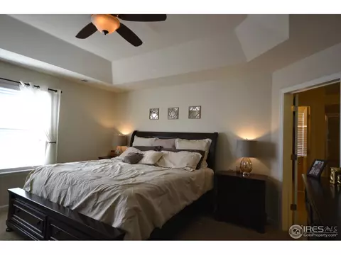 6771 Rainier Rd, Timnath, CO 80547 photo 14
