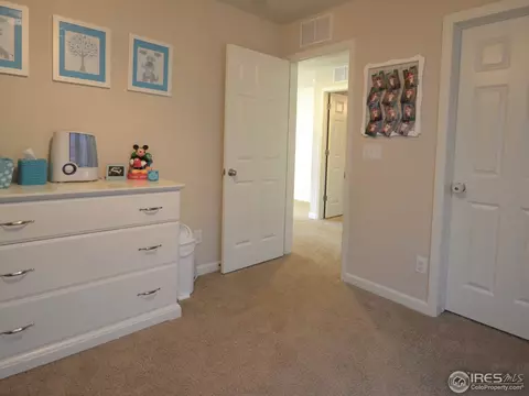 6771 Rainier Rd, Timnath, CO 80547 photo 21