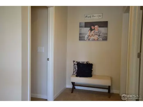 6771 Rainier Rd, Timnath, CO 80547 photo 19