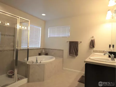 6771 Rainier Rd, Timnath, CO 80547 photo 16