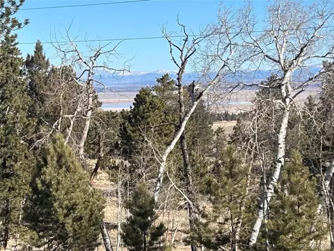 3430 Singletree Rd, Hartsel, CO 80449 photo 3