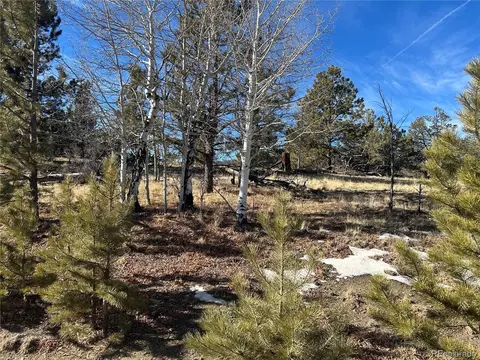 3430 Singletree Rd, Hartsel, CO 80449 photo 5