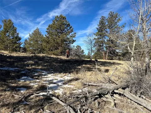3430 Singletree Rd, Hartsel, CO 80449 photo 8