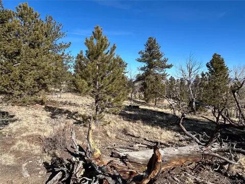 3430 Singletree Rd, Hartsel, CO 80449 photo 4