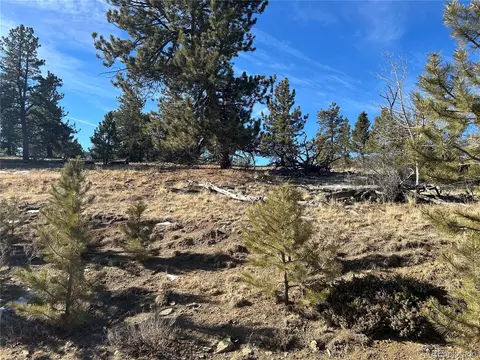 3430 Singletree Rd, Hartsel, CO 80449 photo 14