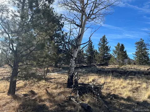 3430 Singletree Rd, Hartsel, CO 80449 photo 6