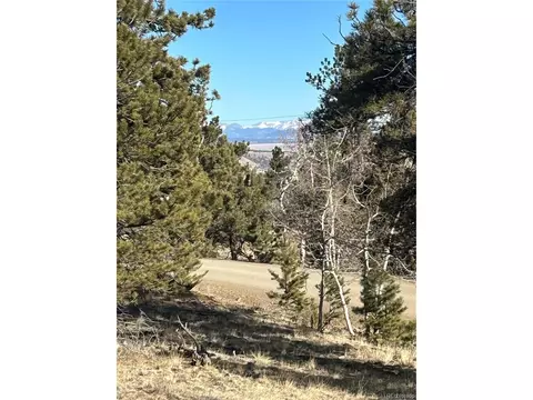 3430 Singletree Rd, Hartsel, CO 80449 photo 11