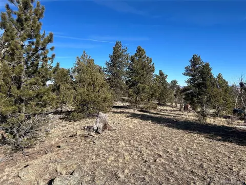 3430 Singletree Rd, Hartsel, CO 80449 photo 7