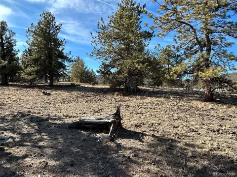 3430 Singletree Rd, Hartsel, CO 80449 photo 13