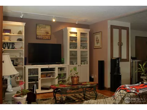 3592 E 114th Dr, Thornton, CO 80233 photo 3