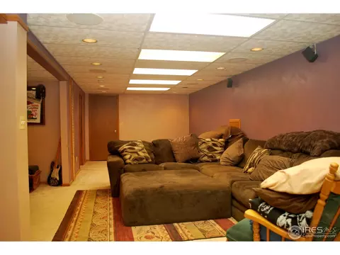 3592 E 114th Dr, Thornton, CO 80233 photo 21