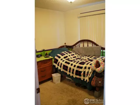 3592 E 114th Dr, Thornton, CO 80233 photo 18