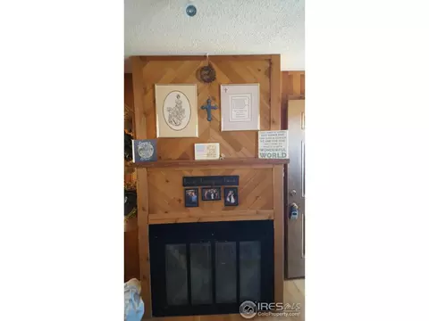 3592 E 114th Dr, Thornton, CO 80233 photo 4