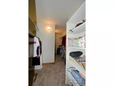 400 Whitney Bay, Windsor, CO 80550 photo 28