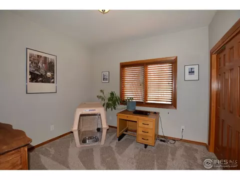 400 Whitney Bay, Windsor, CO 80550 photo 18