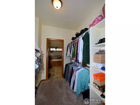 400 Whitney Bay, Windsor, CO 80550 photo 10