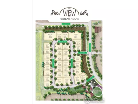 955 Pitchfork Dr, Windsor, CO 80550 photo 1
