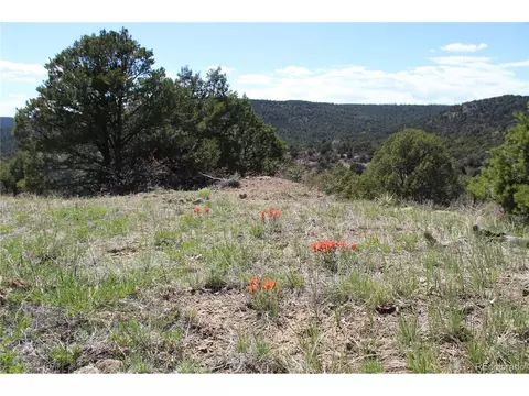Picketwire Road, Trinidad, CO 81082